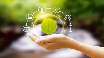 Smart Tips to Market Your Green Products Effectively